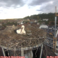 19_35-nest.jpg