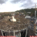 19_40-nest.jpg