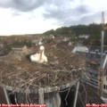 19_45-nest.jpg