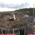 20_00-nest.jpg
