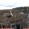 20_05-nest.jpg