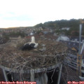 20_10-nest.jpg
