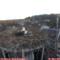 20_20-nest.jpg