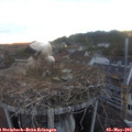 20_30-nest.jpg