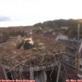 20_35-nest.jpg