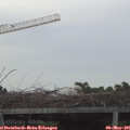 06_00-mast.jpg