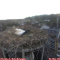 06_00-nest.jpg