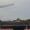 06_05-mast.jpg