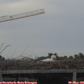 06_15-mast.jpg