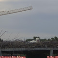 06_25-mast.jpg