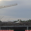 06_30-mast.jpg