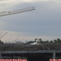 06_35-mast.jpg