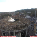 06_35-nest.jpg