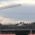06_40-mast.jpg