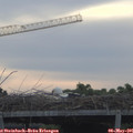 06_45-mast.jpg