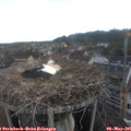 06_45-nest.jpg