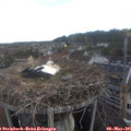 06_50-nest.jpg