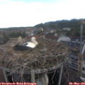 07_00-nest.jpg
