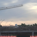 07_05-mast.jpg