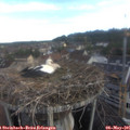 07_10-nest.jpg