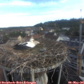 07_15-nest.jpg