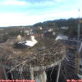 07_20-nest.jpg