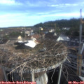 07_30-nest.jpg