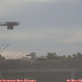 07_35-mast.jpg