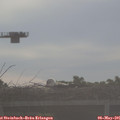 07_40-mast.jpg