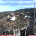 07_40-nest.jpg