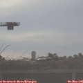 07_45-mast.jpg