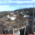 07_45-nest.jpg