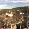07_50-nest.jpg