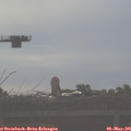 07_55-mast.jpg