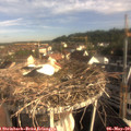 08_00-nest.jpg