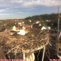 08_05-nest.jpg