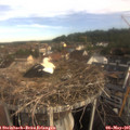 08_20-nest.jpg