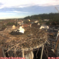 08_25-nest.jpg