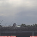 08_30-mast.jpg