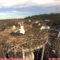 08_30-nest.jpg