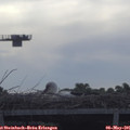 08_35-mast.jpg