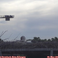 08_40-mast.jpg