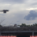 09_00-mast.jpg