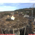 09_00-nest.jpg
