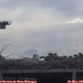 09_05-mast.jpg