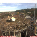09_05-nest.jpg
