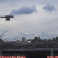 09_15-mast.jpg