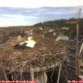 09_15-nest.jpg