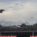 09_20-mast.jpg
