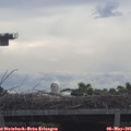 09_25-mast.jpg